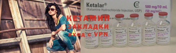 прущие грибы Надым