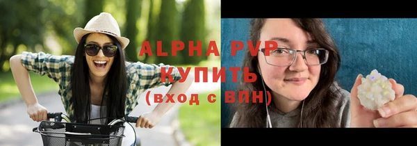прущие грибы Надым