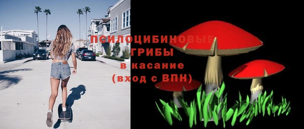 прущие грибы Надым