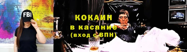 прущие грибы Надым