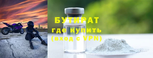 прущие грибы Надым