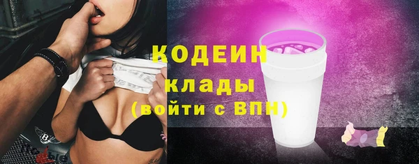 прущие грибы Надым