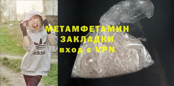 прущие грибы Надым