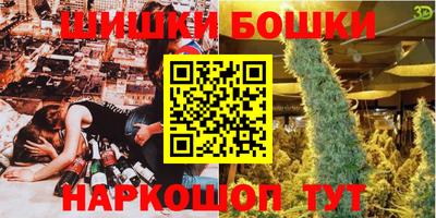 шишки Гагарин