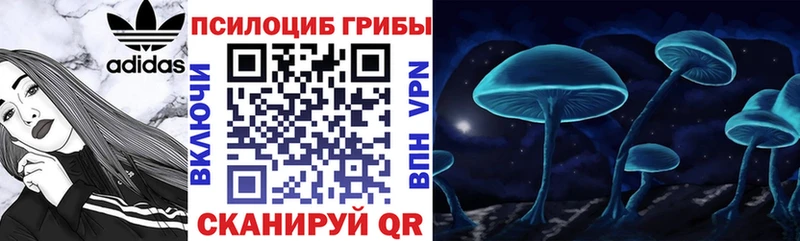 сколько стоит  omg tor  Галлюциногенные грибы MAGIC MUSHROOMS  Шумерля 