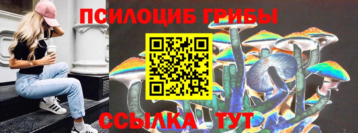 Псилоцибиновые грибы MAGIC MUSHROOMS Шумерля