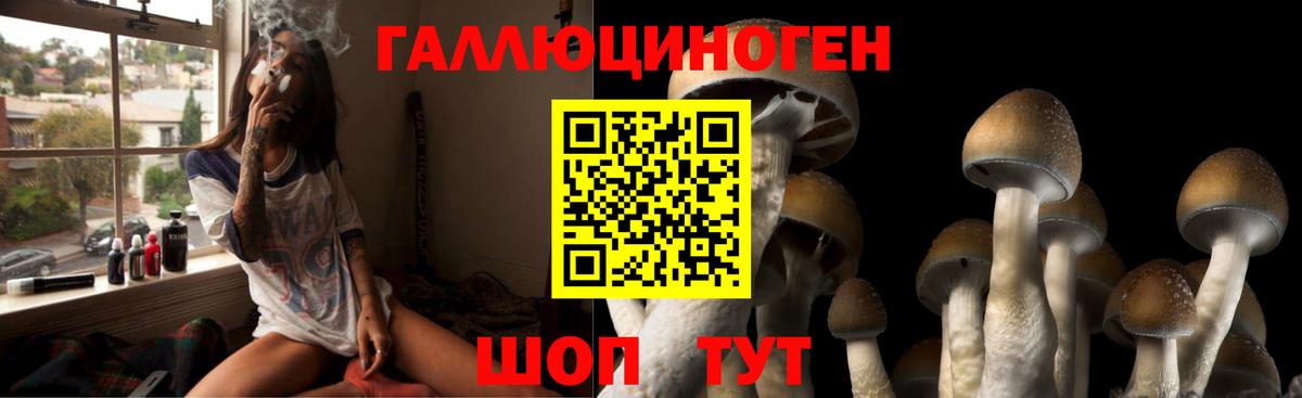 Галлюциногенные грибы мицелий  Вход с VPN  Шумерля 
